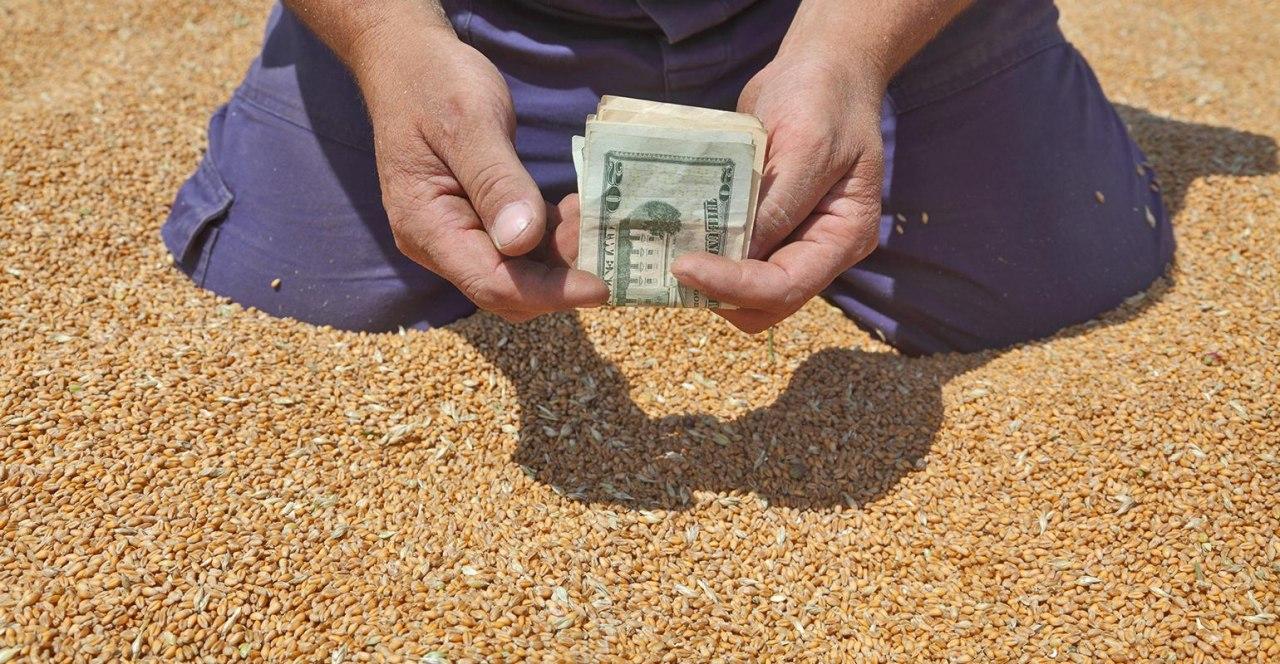Через загострення ситуації на Близькому Сході аграріям рекомендують тимчасово утриматися від продажу зернових