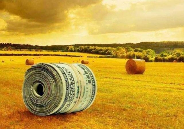 После изменений в бюджете Кабмин сохранил господдержку аграриев